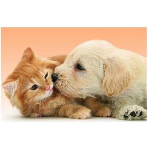 Ravensburger (14172) - "Tender Friendship" - 500 pieces puzzle