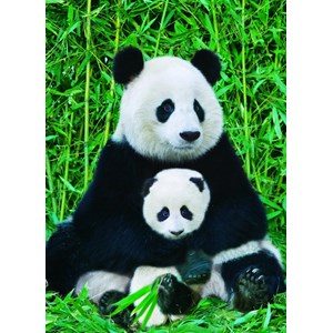Eurographics (6000-0173) - "Panda and Baby" - 1000 pieces puzzle