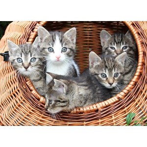 Grafika Kids (00522) - "Kittens in a Basket" - 24 pieces puzzle