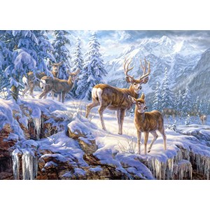 Castorland (C-102501) - "In the Middle of the Forest" - 1000 pieces puzzle