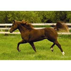 Anatolian (PER3301) - "In the Open Field" - 260 pieces puzzle