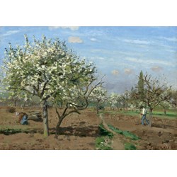 Grafika (02028) - Camille Pissarro: "Orchard in Bloom, Louveciennes, 1872" - 1000 pieces puzzle