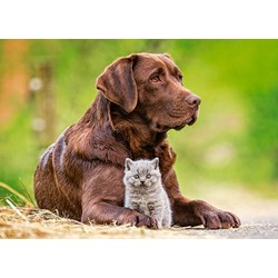 Castorland (B-13326) - "Big and Little" - 120 pieces puzzle