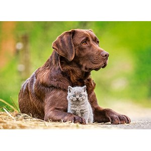 Castorland (B-13326) - "Big and Little" - 120 pieces puzzle