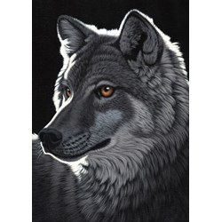 Grafika (T-00437) - Schim Schimmel: "Night Wolf" - 1000 pieces puzzle