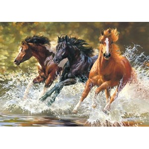 Castorland (B-52585) - "Splash" - 500 pieces puzzle