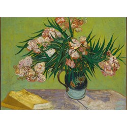Grafika Kids (00438) - Vincent van Gogh: "Oleanders,1888" - 300 pieces puzzle