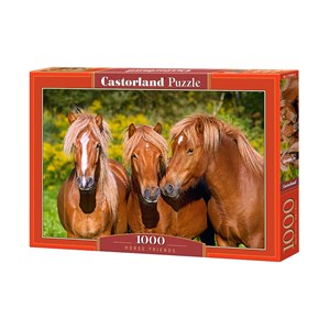 Castorland (C-103959) - "Horse Friends" - 1000 pieces puzzle