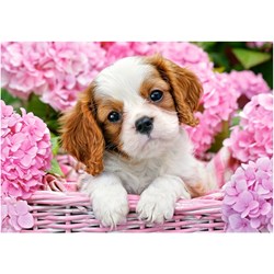 Castorland (B-52233) - "Pup in Pink Flowers" - 500 pieces puzzle