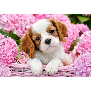 Castorland (B-52233) - "Pup in Pink Flowers" - 500 pieces puzzle