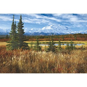 Educa (16008) - Rodney Lough Jr.: "Denali National Park" - 1500 pieces puzzle