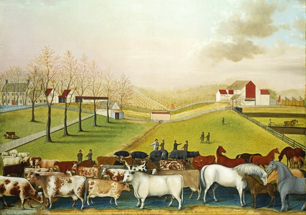 Grafika (00251) - Edward Hicks: "The Cornell Farm, 1848" - 1000 pieces puzzle