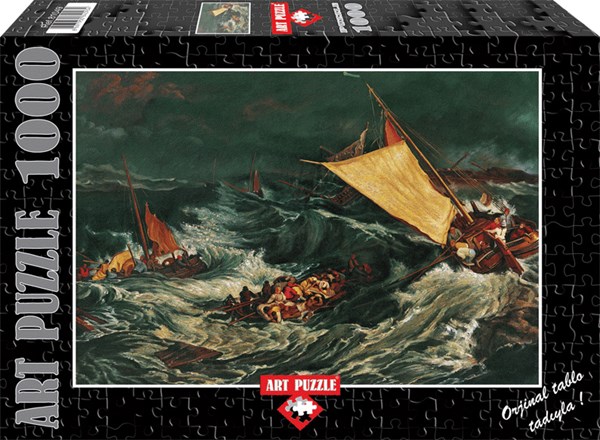 Art Puzzle (81049) - "Shipwreck" - 1000 pieces puzzle