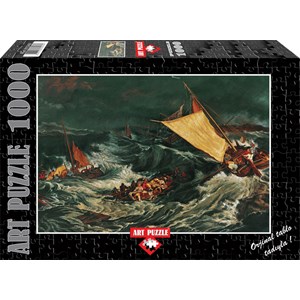 Art Puzzle (81049) - "Shipwreck" - 1000 pieces puzzle