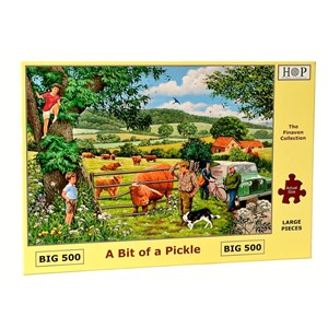 The House of Puzzles (4319) - "A Bit Of A Pickle" - 500 pieces puzzle