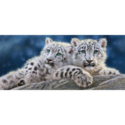 Castorland (B-060115) - "Snow Leopard Cubs" - 600 pieces puzzle
