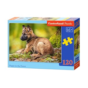 Castorland (B-13258) - "Puppy in the Forest" - 120 pieces puzzle