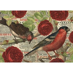 Jumbo (18398) - "Birds love flowers" - 500 pieces puzzle