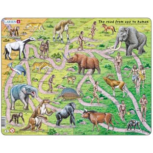 Larsen (HL3-GB) - "The Road From Ape to Human - GB" - 83 pieces puzzle