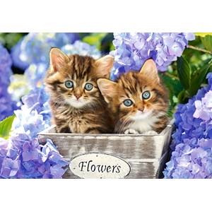 Castorland (C-151561) - "Cute Kittens" - 1500 pieces puzzle