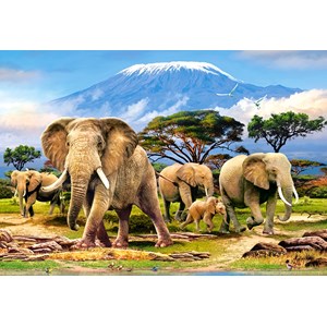 Castorland (C-103188) - "Kilimanjaro Morning" - 1000 pieces puzzle