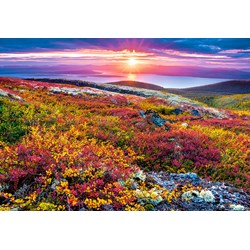 Castorland (C-103539) - "Northern Palette" - 1000 pieces puzzle