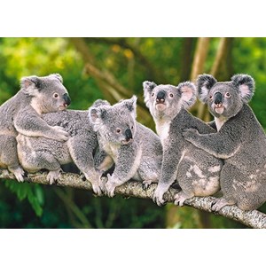 Castorland (B-13289) - "Koalas" - 120 pieces puzzle
