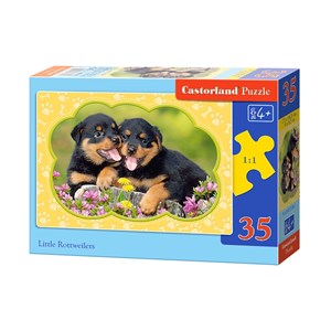 Castorland (B-035205) - "Little Rottweilers" - 35 pieces puzzle