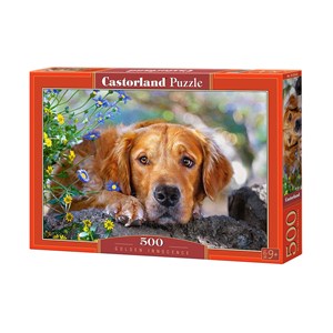 Castorland (B-52622) - "Golden Innocence" - 500 pieces puzzle