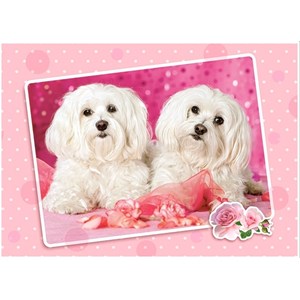 Castorland (B-13128) - "Two Doggies in Pink" - 120 pieces puzzle