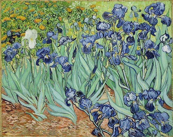 Piatnik (5331) - Vincent van Gogh: "Iris" - 1000 pieces puzzle