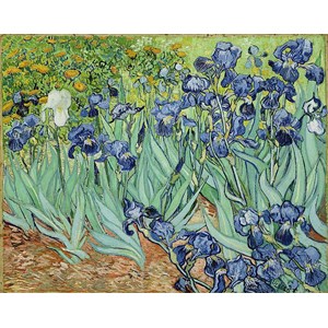 Piatnik (5331) - Vincent van Gogh: "Iris" - 1000 pieces puzzle