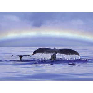 Ravensburger (14664) - "Peaceful Moment" - 500 pieces puzzle