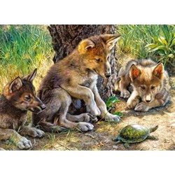 Castorland (B-27385) - "The Shell Game" - 260 pieces puzzle