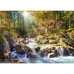 Castorland (C-200382) - "Stream in the Forest" - 2000 pieces puzzle