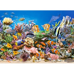 Castorland (B-27279) - "Sand bank" - 260 pieces puzzle