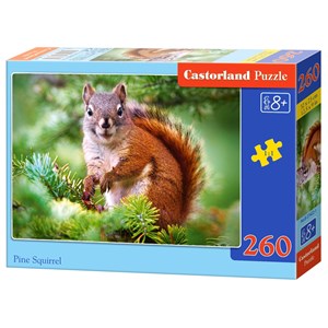 Castorland (B-27422) - "Pine Squirrel" - 260 pieces puzzle