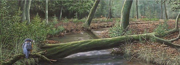 PuzzelMan (229) - Nico Bulder: "Icebird" - 1000 pieces puzzle