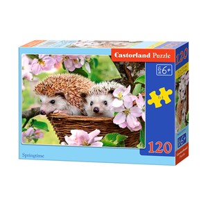 Castorland (B-13319) - "Springtime" - 120 pieces puzzle