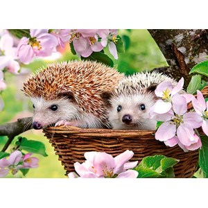 Castorland (B-13319) - "Springtime" - 120 pieces puzzle