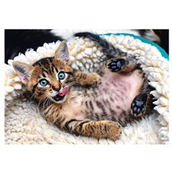 Trefl (10448) - "Cheerful Kitten" - 1000 pieces puzzle