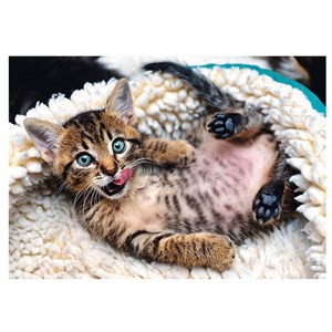 Trefl (10448) - "Cheerful Kitten" - 1000 pieces puzzle