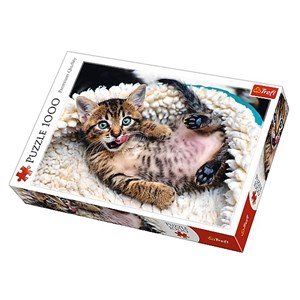 Trefl (10448) - "Cheerful Kitten" - 1000 pieces puzzle