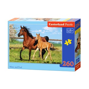 Castorland (B-27064) - "The Mare and her foal" - 260 pieces puzzle