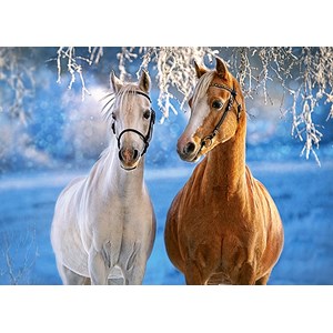 Castorland (B-27378) - "The Winter Horses" - 260 pieces puzzle