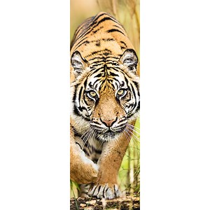 Trefl (75002) - "Tiger" - 300 pieces puzzle