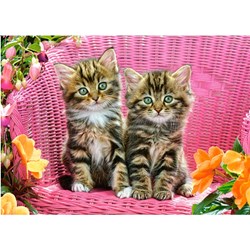 Castorland (B-13357) - "Kittens" - 120 pieces puzzle