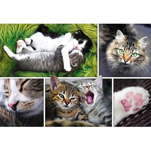 Trefl (26145) - "Collage, Cats" - 1500 pieces puzzle