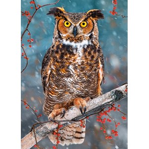 Castorland (B-27347) - "Great Horned Owl" - 260 pieces puzzle
