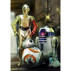 Buffalo Games (2804) - "Star Wars™: Droids" - 300 pieces puzzle